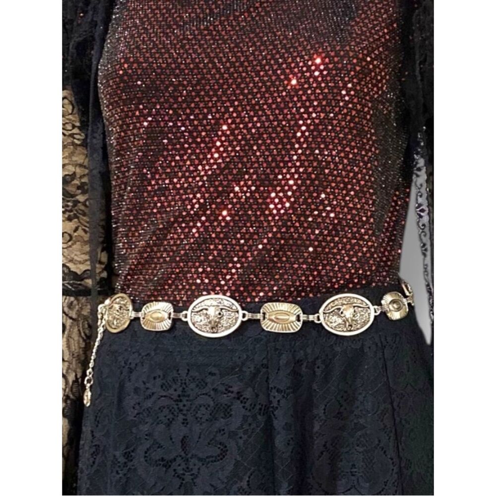 Vintage Western Silver Concho Belt Cowgirl Medallion Skulls Chain Link 24-42
